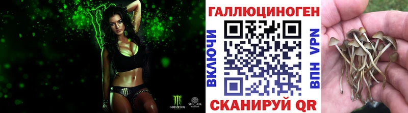 Купить закладки  Данков  Псилоцибиновые грибы ЛСД 