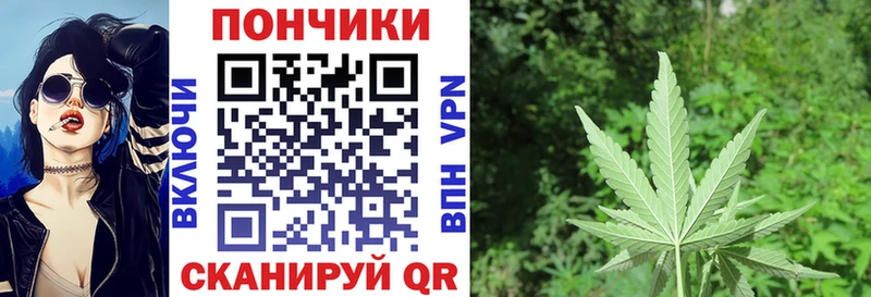 Канабис OG Kush  Купить закладки  Данков 